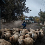 ‘what-can-i-feel?-the-most-important-is-that-we-are-alive’