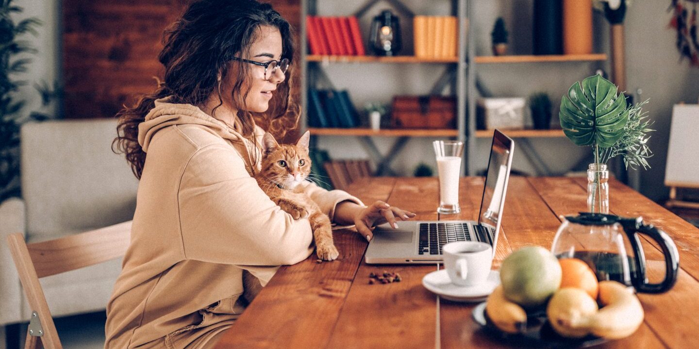 MetLife Pet Insurance Review 2022